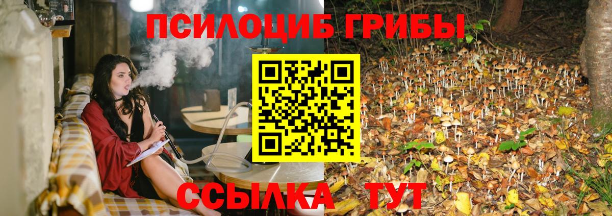 Галлюциногенные грибы Magic Shrooms Кушва